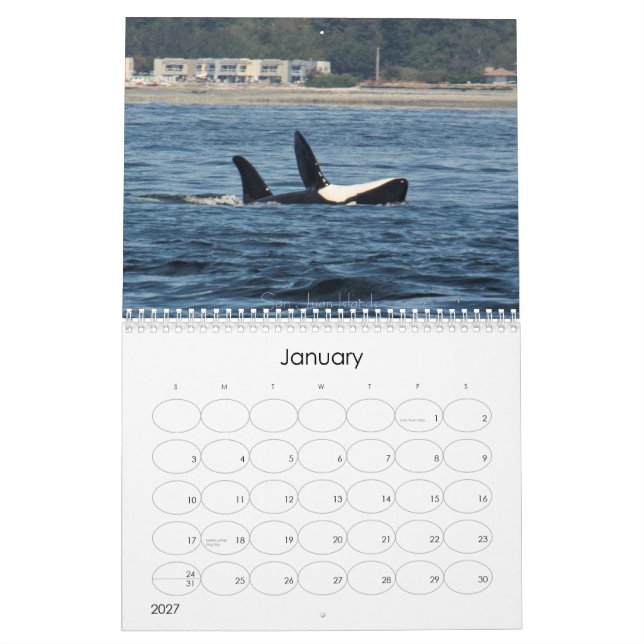 Wunderbare Welt der Wale 2015 - Kalender (Jan 2027)