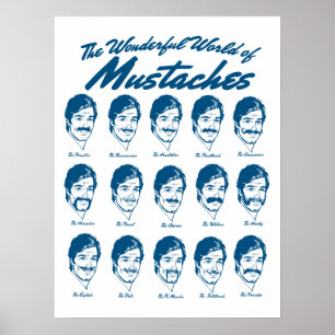 Wunderbare Welt des Schnurrbart-Plakats Poster