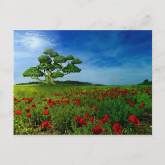 Wunderbare Welt Postkarte