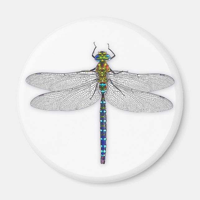 Wunderbarer Dragonfly-Magnet Magnet (Vorne)