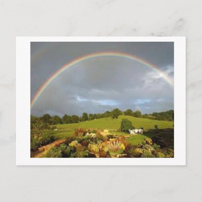 Wunderbarer Tag Postkarte (Vorderseite)