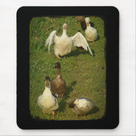 Wunderbarer Wasservogel Mousepad