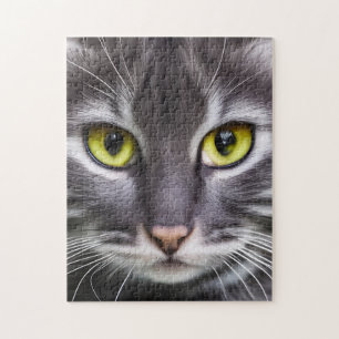 Wunderbares Katzenportrait Puzzle