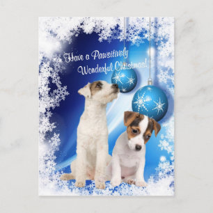 Wunderbares Weihnachten Wish2 Jack-Russells