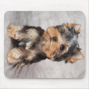 Wunderbares yorkie mousepad
