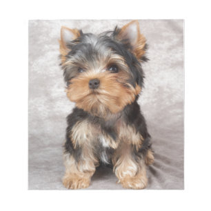 Wunderbares yorkie notizblock