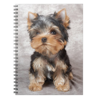 Wunderbares yorkie notizblock