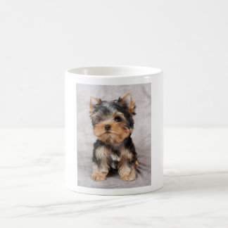 Wunderbares yorkie tasse