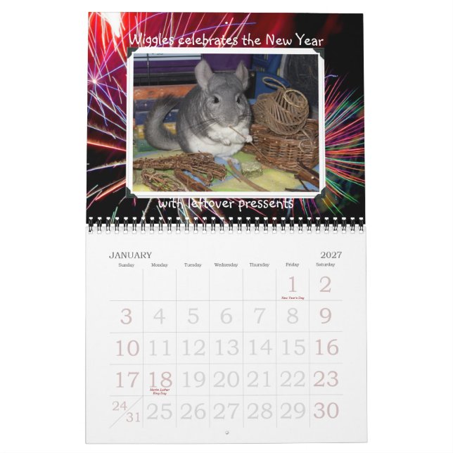 Wunderchins 2012 Kalender (Jan 2027)