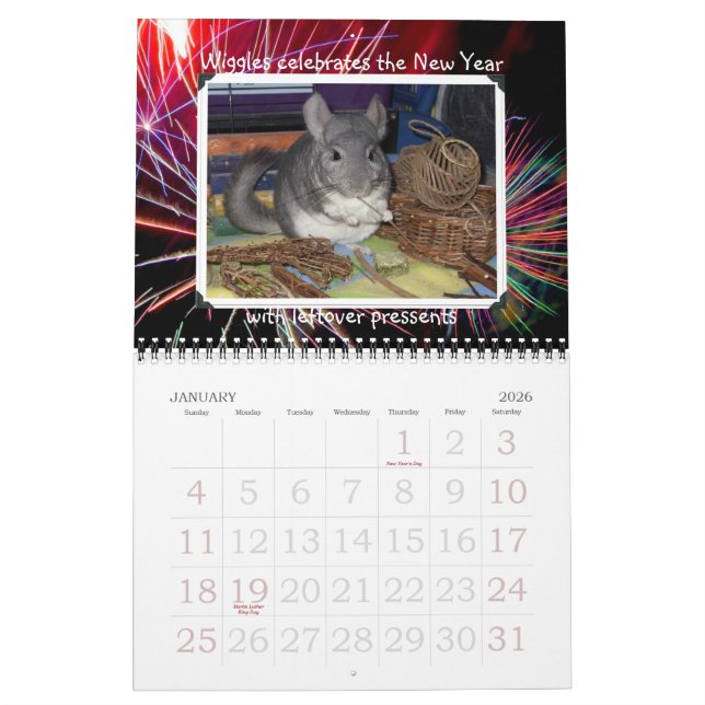 Wunderchins 2012 Kalender (Jan 2026)