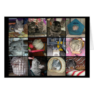 Wunderchins 2012 Karte