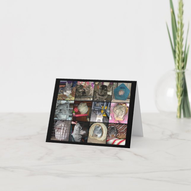 Wunderchins 2012 notecards karte (Vorderseite)