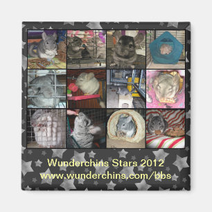 Wunderchins Magnet 2012