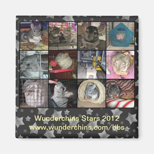 Wunderchins-Magnet 2012 Magnet (Vorne)