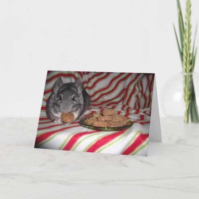 Wunderchins-Urlaubskarte 2012 Feiertagskarte (Vorderseite)