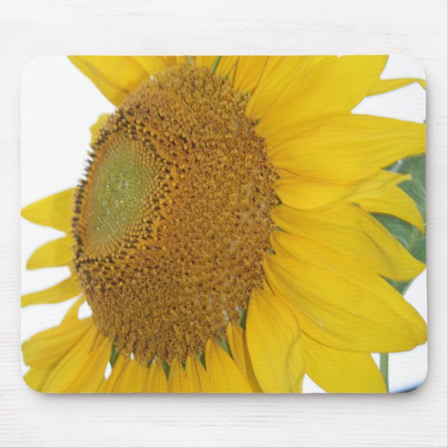 wunderliches Sonnenblume-Foto mousepad (Vorne)