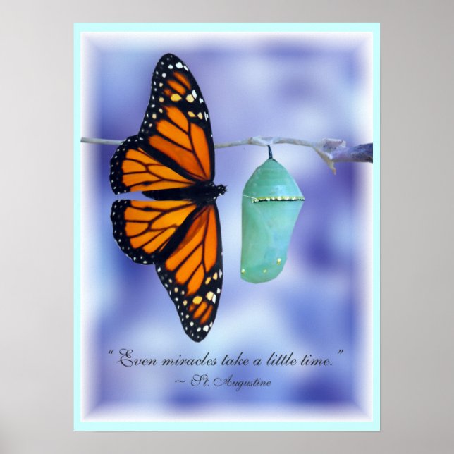 WunderPrint Poster (Vorne)