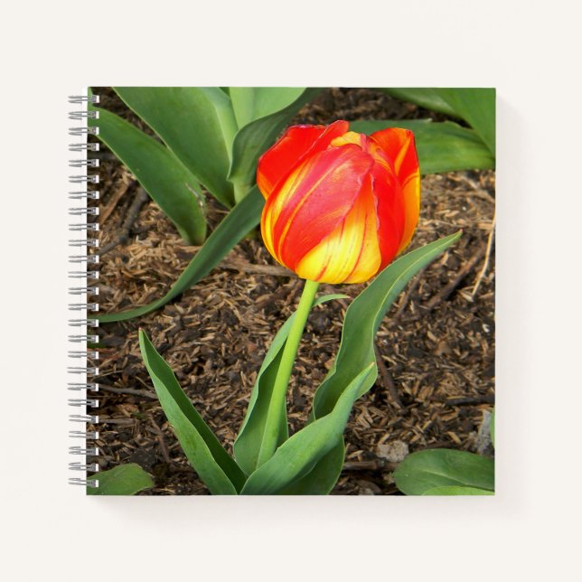 Wunderschön im Frühling.... Notizbuch (Vorderseite)
