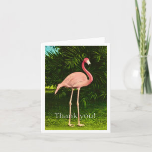 Wunderschön rosa Flamingo Dankeskarte