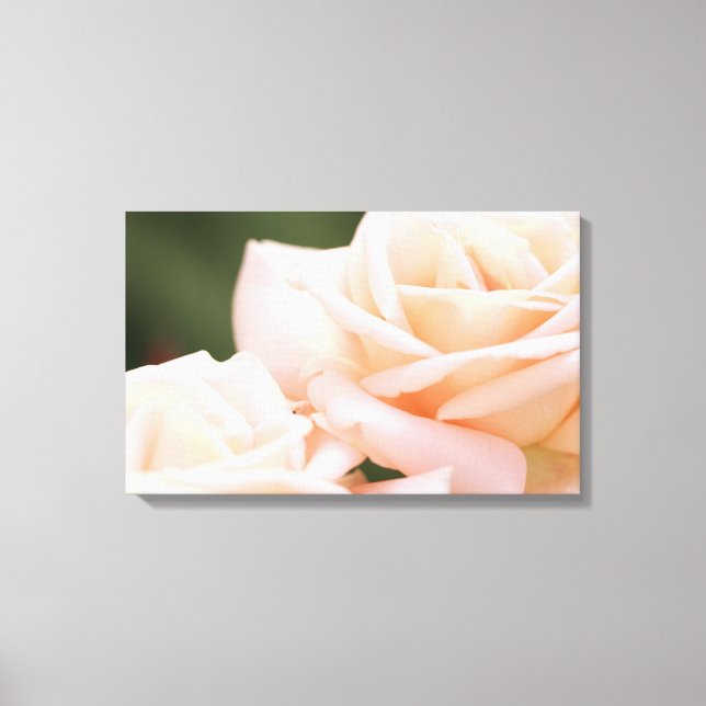 Wunderschöne beige Rose Stretched Canvas Print Leinwanddruck (Vorderseite)