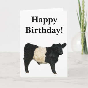 Wunderschöne Belted Galloway Ochsen-ClipArt-Karte Karte
