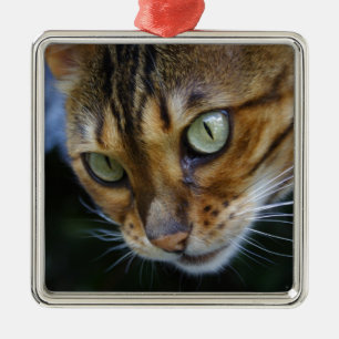 Wunderschöne Bengalkatze Ornament Aus Metall