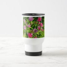 wunderschöne Blumen