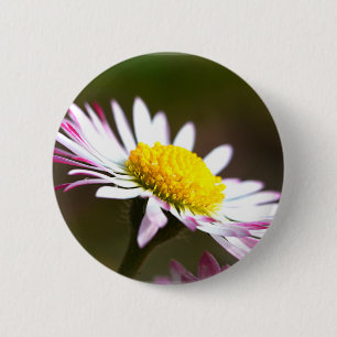 wunderschöne Blüten  Blütenblätter Romantik romant Button
