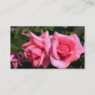 wunderschöne doppelte perfekte heißrosa Rosenblüte Visitenkarte