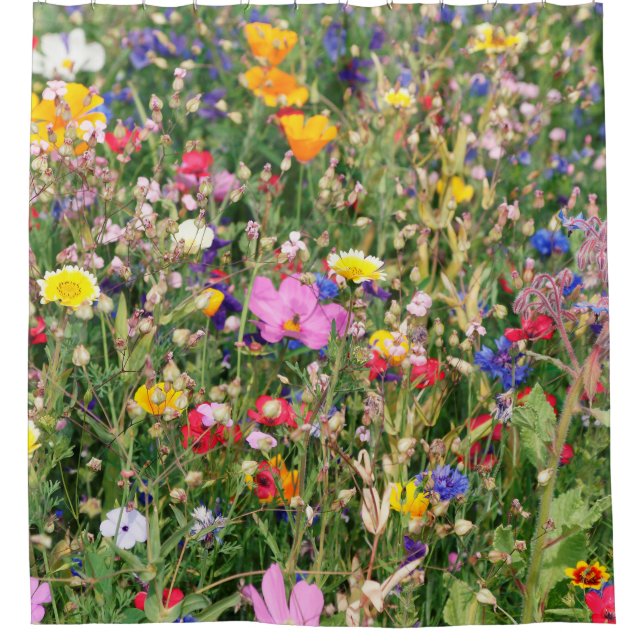 wunderschöne, farbenfrohe Wiese wilder Blume Duschvorhang (Vorderseite)