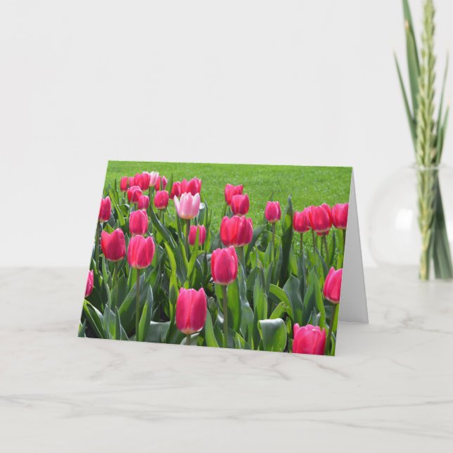 wunderschöne Frühlingsrosatulpenglücliche Geburtst Karte (Vorderseite)