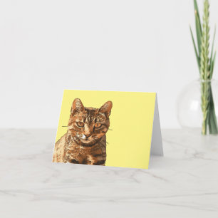 Wunderschöne getigerte Katze mit starrenden Augen Karte
