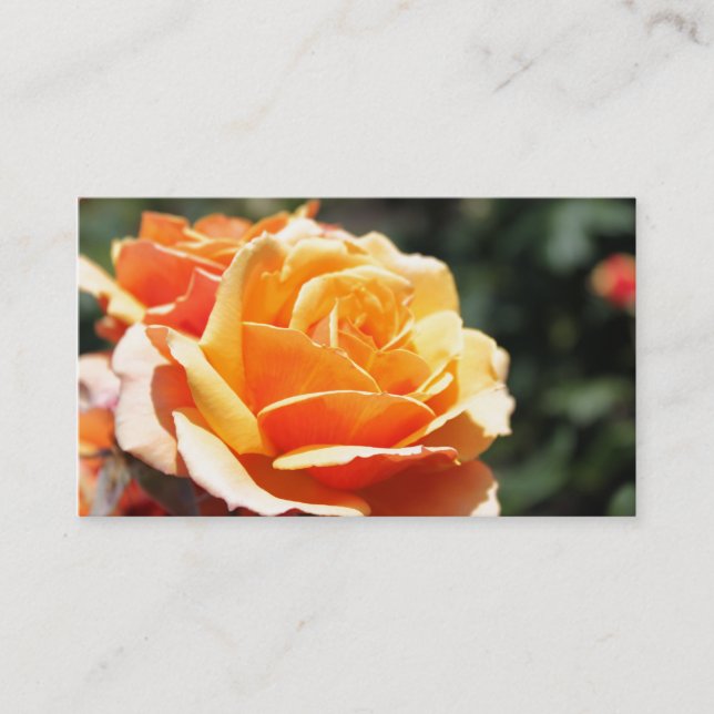 Wunderschöne goldgelbe Rosenrose Blume beruflich Visitenkarte (Vorderseite)