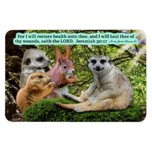 Wunderschöne Heilschrift Magnet Jeremiah 30:17