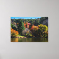 Wunderschöne Herbstfarben und -reflektionen