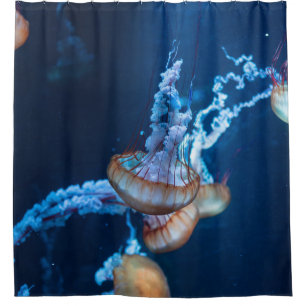 Wunderschöne Jellyfish Duschvorhang