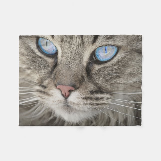 Wunderschöne Katze Nahaufnahme Fleecedecke (Vorderseite (Horizontal))