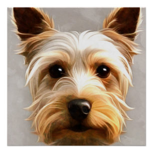 Wunderschöne Niedliche Yorkshire Terrier Welpe Flo Poster