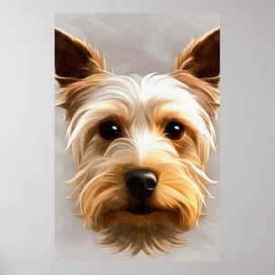 Wunderschöne Niedliche Yorkshire Terrier Welpe Flo Poster