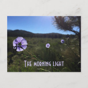 Wunderschöne Prairie Blue Flax Blumen vermissen di Postkarte