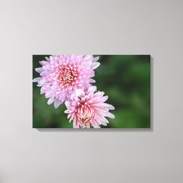 Wunderschöne rosa Blume Gestrichen Canvas Print Leinwanddruck (Vorderseite)