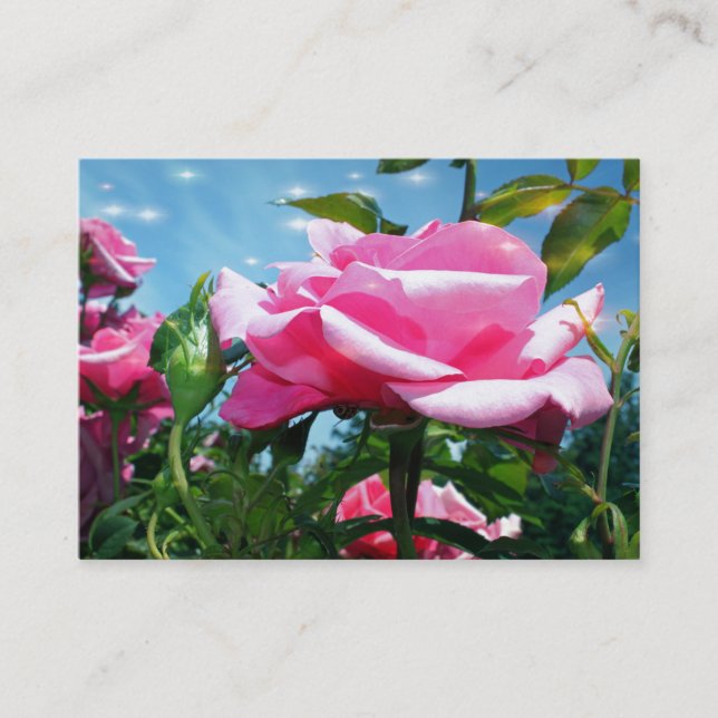 Wunderschöne rosa Rosa-Blume in blauem Himmelsprof Visitenkarte (Vorderseite)