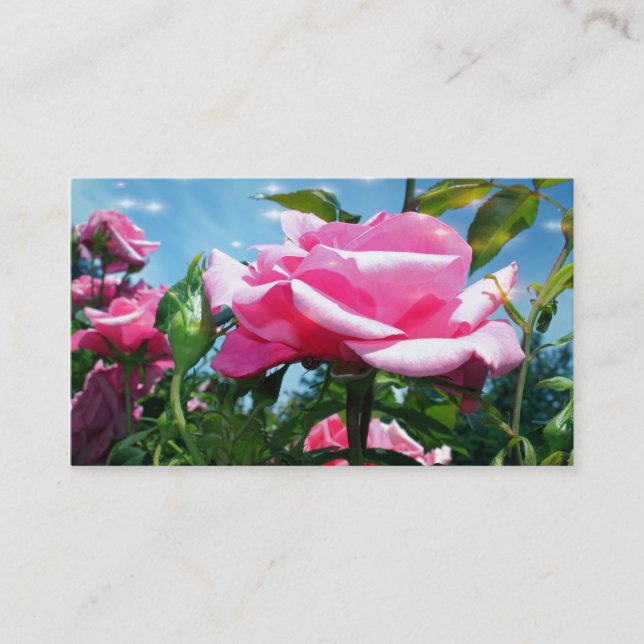 Wunderschöne rosa Rosa-Blume in blauem Himmelsprof Visitenkarte (Vorderseite)