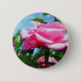 Wunderschöne rosa Rose am blauen Himmel. Florale F Button