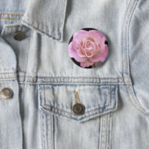 Wunderschöne Rosa Rose