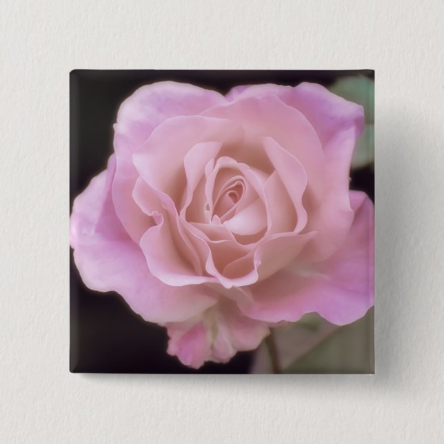 Wunderschöne Rosa Rose Button (Vorderseite)
