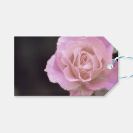 Wunderschöne Rosa Rose Geschenkanhänger