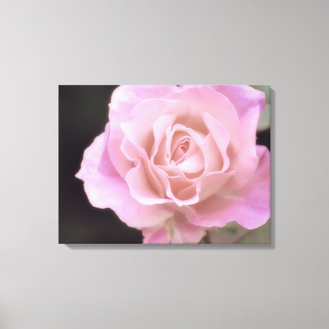 Wunderschöne Rosa Rose Leinwanddruck (Vorderseite)