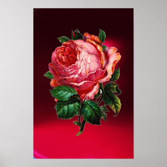 WUNDERSCHÖNE ROSA ROSE POSTER (Vorne)