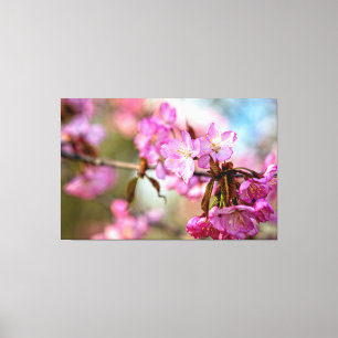 Wunderschöne rosa Sakura-Blüten im Frühlingsgarten Leinwanddruck